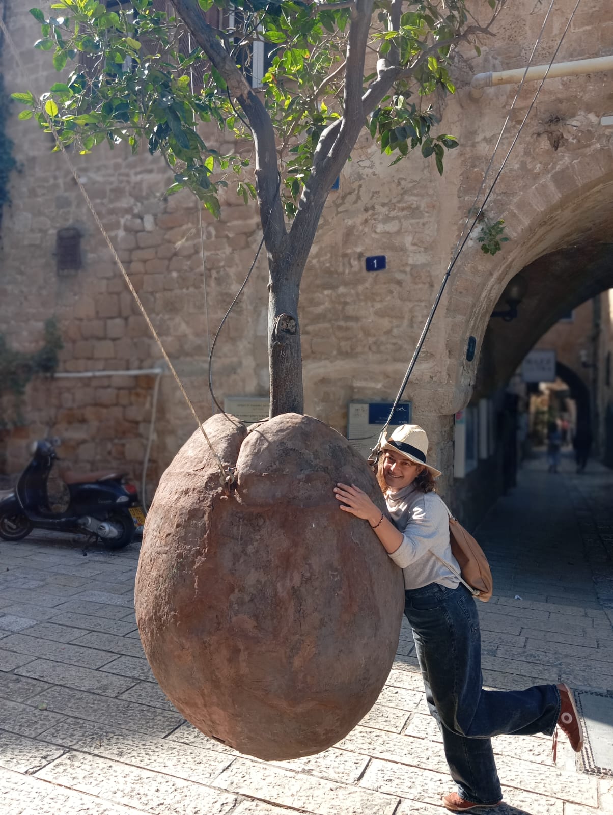 תל אביב | יפו